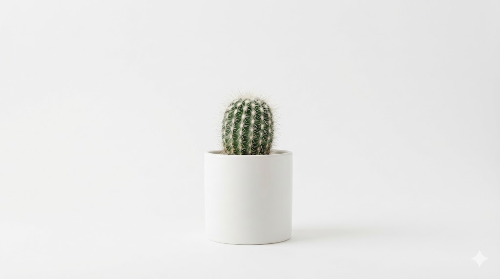 Green plant growing on coins representing sustainable investing